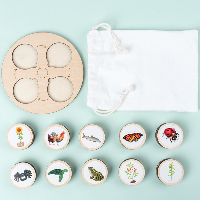 Life Cycle Board Montessori Ki - Science Nature บทวิจารณ์และราคา