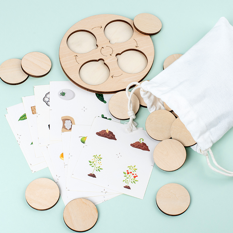 Life Cycle Board Montessori Ki - Science Nature บทวิจารณ์และราคา
